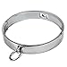 O Ring Metal locking Collar – Davidsource Neck Collar With O Ring Magnetic Stainless Pin Restraint Gear BDSM Sex Toythumb 1