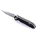 Ganzo Firebird G714 Pocket Folding Knife G-10 Handle SS Blade Hunting Fishing Outdoor EDC Tool (Black)