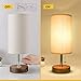 Seealle USB Table Lamp, Modern Nightstand Lamp Bedside Desk Lamp with USB Charging Port,Unique Round Lampshade,Convenient Pull Chain,Ambient Light for Living Room,Bedroom