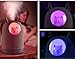 HOPEME Cool Mist USB Humidifier with Adjustable Mist Mode, 300ml Water Tank Lasts Up to 10 Hours, 7 Color LED Lights Changing, Waterless Auto Shut-off for Bedroom, Home, Office (White)…