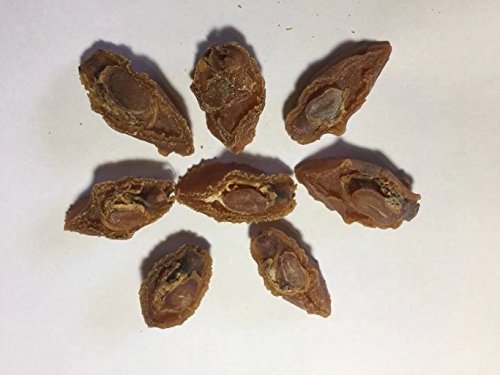 1 Dried+seafood+small+sized+abalone+Nanhai