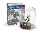 Lee’s Betta Keeper with Lid, Gravel and Plant – Small