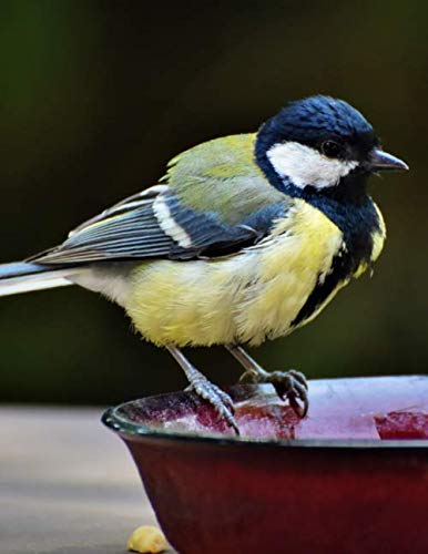 Notebook: tit songbird bird small animal bird bath bathing by Wild Pages Press