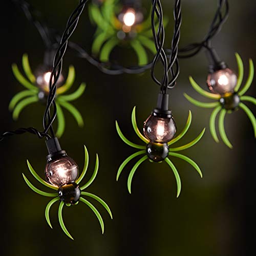10ct Spider String Light