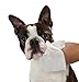 BotaniVet Natural Pet Wipes - 50 Count - 100% Natural & Organic Ingredients Biodegradable for Grooming Folds Allergies Ears Tear Staining