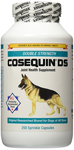 Nutramax Cosequin DS Double Strength Capsules, 250 Count