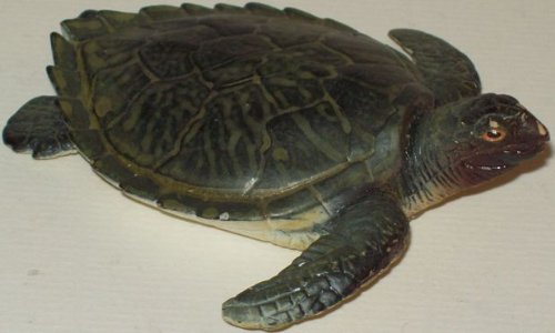 Green Sea Turtle 3.5 Inch - Play Animal Figure by Phil Seltzer Animals (12814)