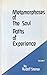 Metamorphoses of the Soul: Paths of Experience, Vol. 1 by