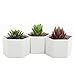 MyGift Hexagon White Ceramic Plant Pots, Small Succulent Planters, Set of 3