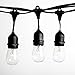 100 Foot E26 Commercial Outdoor String Lights with 50 Suspended Sockets and S14 Clear Bulbs for Weatherproof Heavy Duty Vintage Outside Lighting