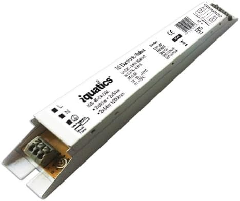 AMAZON-IQB-45-54-DBL