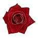 QtGirl Fabric Rose Hair Clips Flower Brooch for Women Teens at Party Ball Wedding (Red)