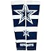 Littlearth NFL Dallas Cowboys Strong Arms, Team Color, 17