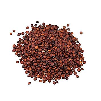 Urban Gardeners Ber Seeds Hand Sorted Ziziphus Mauritiana 50 Seeds Chinee Apple Jujube Indian Plum Regi Pandu Indian Jujube And Masau Amazon In Garden Outdoors In the mahabharata epic, pandu (sanskrit: urban gardeners ber seeds hand sorted