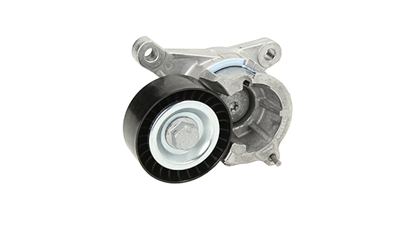 Ruville 55951 Brazo tensor, correa trapecial poli V: Amazon ...