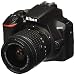 Nikon D3500 W/ AF-P DX NIKKOR 18-55mm f/3.5-5.6G VR Blackthumb 4
