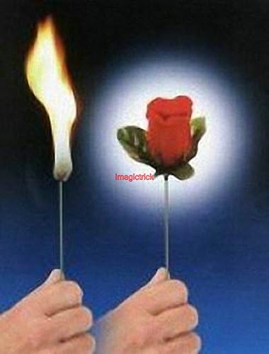Fire Rose -TORCH TO ROSE - Magic Trick / Fire Magic Tricks