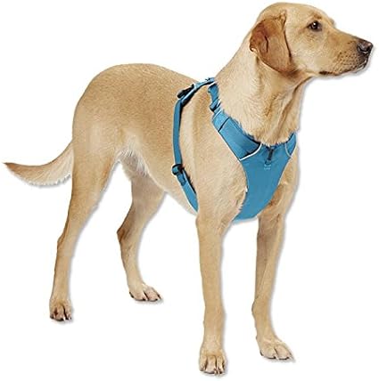 ruffwear front range harness xxs