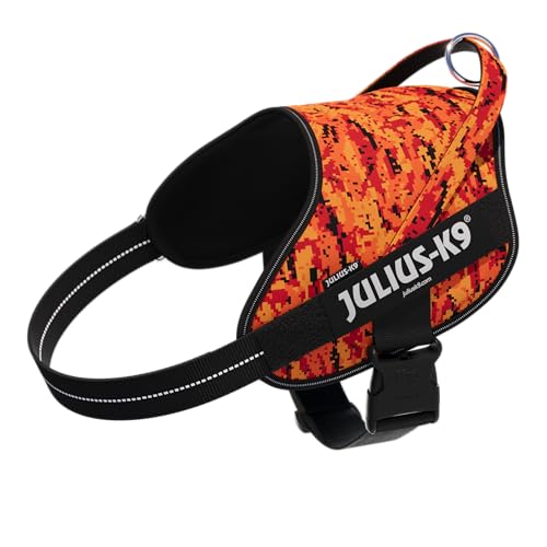 Powerharness 2025, Power&More, Size: 2XL, Pixeljuice