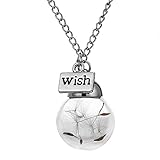 Ingooood Glass bottle necklace Natural dandelion seed in glass necklace Make A Wish silver plated jewelry
