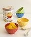 Now Designs Ice Cream Bowl, Frosty Sweets, Set of 4