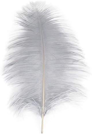 crownroyaljack 20pcs Natural Ostrich Feathers 10-12inch(25-30cm) for Wedding Party Decorations Craft