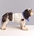 McCall's Patterns M5776 Dog Coats, Scarf and Leg Warmers