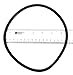Sta-Rite O-Ring Trap