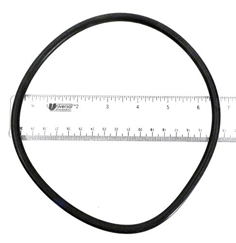 Sta-Rite O-Ring Trap