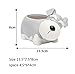 Youfui Cute Dog Flowerpot Resin Succulent Planter Desk Mini Ornament (Schnauzer Pot)