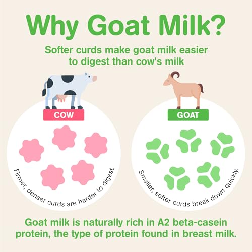 Capricare Whole Goat Milk Powder Baby Formula Stage 2 – Nutritional Baby Essentials, No Added Palm Oil, Soybean Oil, GMOs, Glucose, Refined Sugars, Corn Maltodextrin – 6 Months & Above, 800g