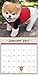 Boo Wall Calendar (2017)
