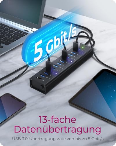 Raidsonic ICY BOX IB-AC6113 13-Port USB 3.0 Hub