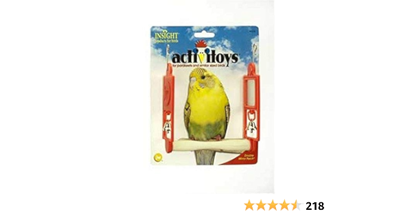 budgie swing with mirror