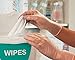 GREAT GLOVE NM60015-L-BX Vinyl Industrial Grade Foodservice Glove, 4 mil, Lightly Powdered, Latex-Free, Allergy-Free, Smooth, Economical, Food Safe (FDA 21 CFR 170-199), Clear, Large (Pack of 100)