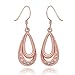 Women Rose Gold Plated Oval Dangle Earring Zircon Elegant Hook Eardrop