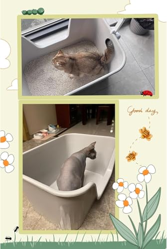 Last Page® Large Cat Litter Box with High Sides,Cat Boxes for Indoor Cats,Cat Litter Pan for Kitty,Litter Box with Low Entry,Easy to Clean,Anti-Splashing (Grey)