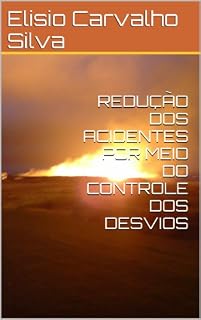 Livro REDUÇÃO DOS ACIDENTES POR MEIO DO CONTROLE DOS DESVIOS