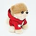 GUND Itty Bitty Boo #033 Hoodie Plush, Red, 5