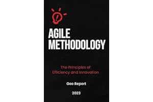 Agile Methodology: The Principles of Efficiency and Innovation