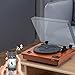 HOFEINZ Vintage Style Natural Wood Belt Driven Record Player with 3 Speed Built in Stereo Speakers, Bluetooth and Vinyl-to-MP3 Recording…thumb 4