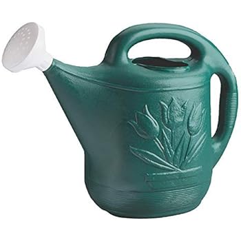Novelty MFG 30301 Watering Can, 2-Gallon, Green