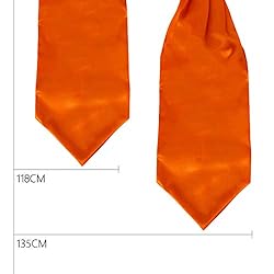 Dan Smith Orange Ascot Tie For Men Cravat