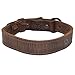 Slim Leather Dog Collar for Small Size Dog (12 to 15.5 Inches) Handmade by Hide & Drink :: Bourbon Brown