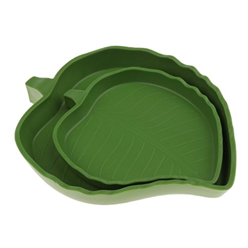 image for Baosity 4Pcs Shallow Reptile Amphibians Food and Water Dish Small Pets