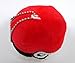 POKEMON Catcher - 6 Piece Poké Ball Plush Party Favor Set Featuring 6 Red Poké Balls
