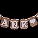 Pixnor Thank You Wedding Bunting Banner Photo Booth Garland Props Anniversary Bridal Party Decoration