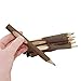 Twigs And Branches Fun Pencils- 10 Wooden Log Pencils In Assorted Bright And Vibrant Colors - Amazing Kids Students Gift Party Favor, Great Fun To Write With! By Mega Stationers