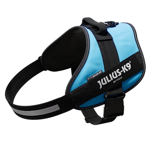JULIUS-K9 IDC Powerharness, 3XL, no pull dog harness, Aquamarine