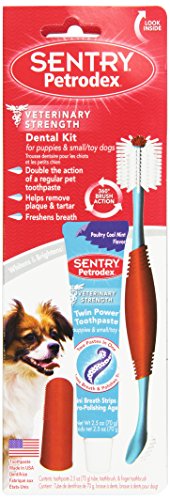 Petrodex Dental Kit for Puppies and Small Dogs, Poultry Cool Mint Toothpaste, 2.5 oz